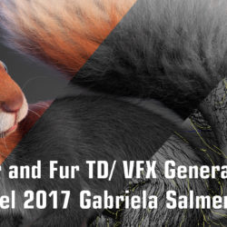 Hair and Fur/ VFX Reel 2017