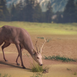 deer animation